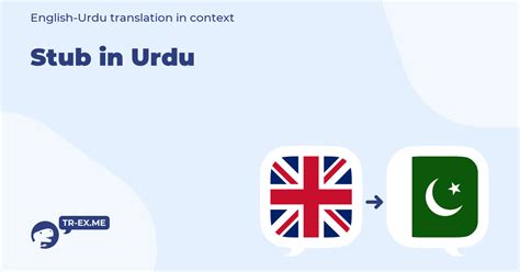 stub meaning in urdu
